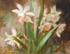 "Angels of Spring" Daffodil Original Oil Painting (Unframed)