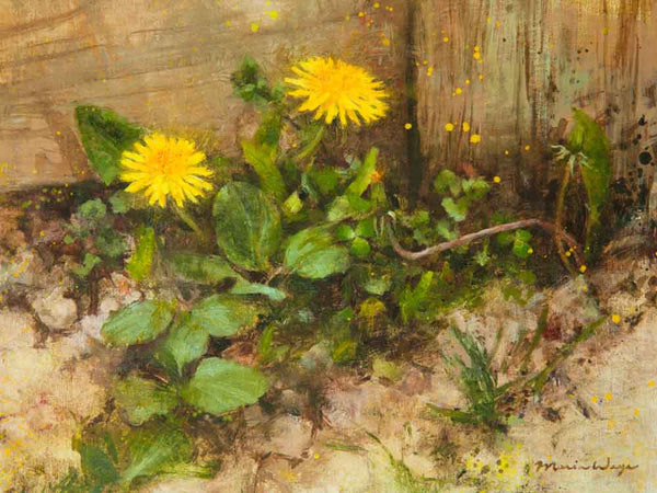 Dandelion original oil painting fine art realistic art on canvas by Toronto artist Maria Waye 