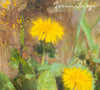 "Daring Dandelion" Original Oil Painting