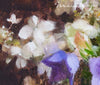 "Mid-Summer Blooms of Allure and Mystery" Original Oil Painting