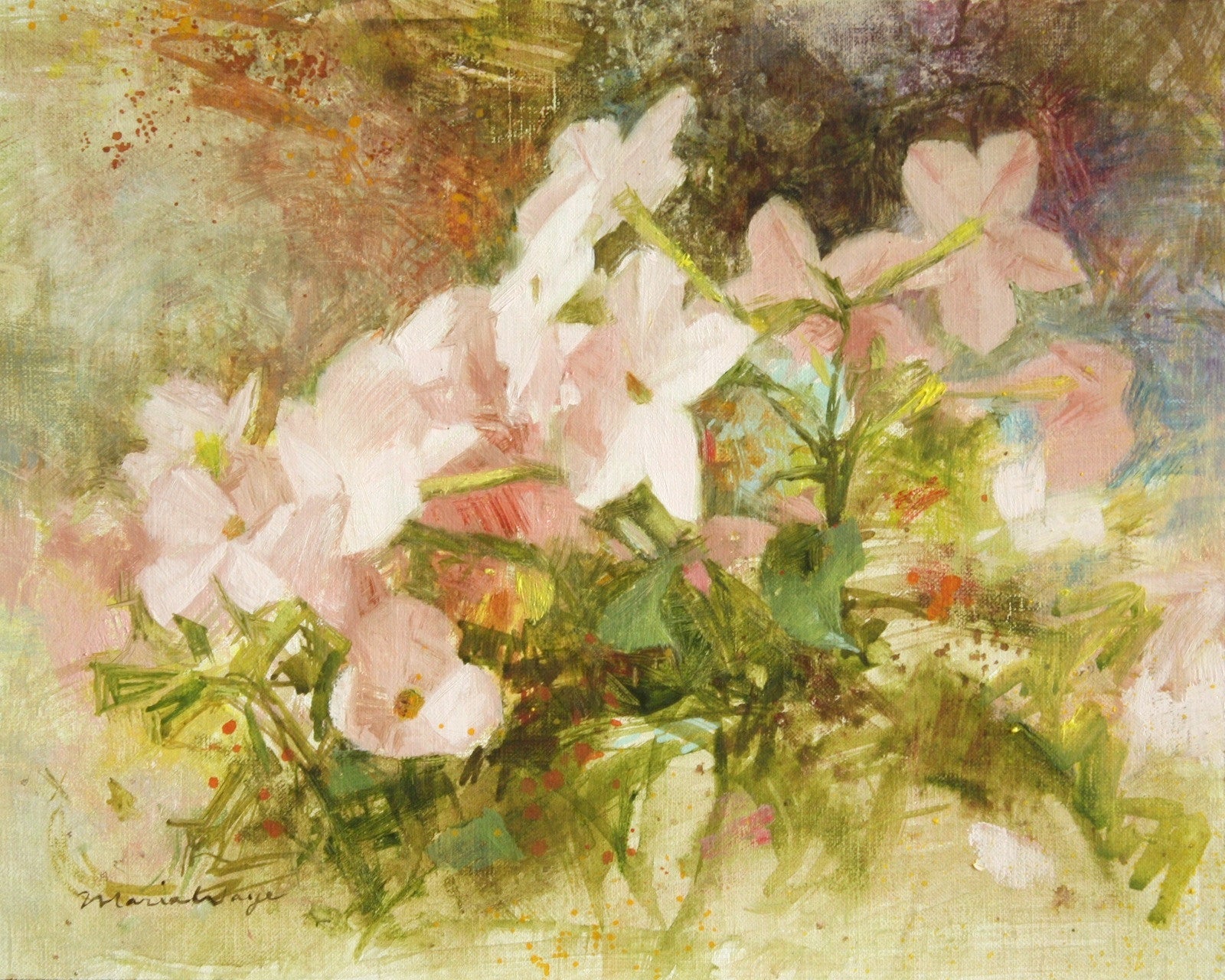 Soft pink starry flowers fine art original oil painting - Maria Waye